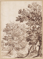K V 060
<br/>
Bomen in golvend landschap
<br/>
<em>Allegrini, Francesco (1624-1684)</em>